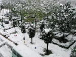 نمای برفی محوطه