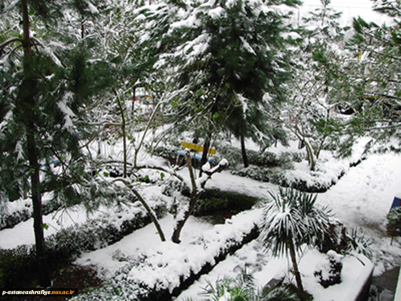 نمای برفی محوطه