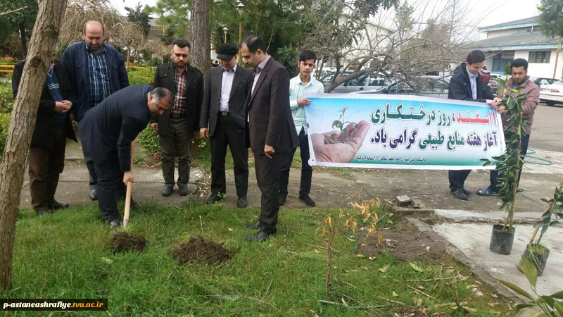 گرامیداشت روز درختکاری و هفته منابع طبیعی 2