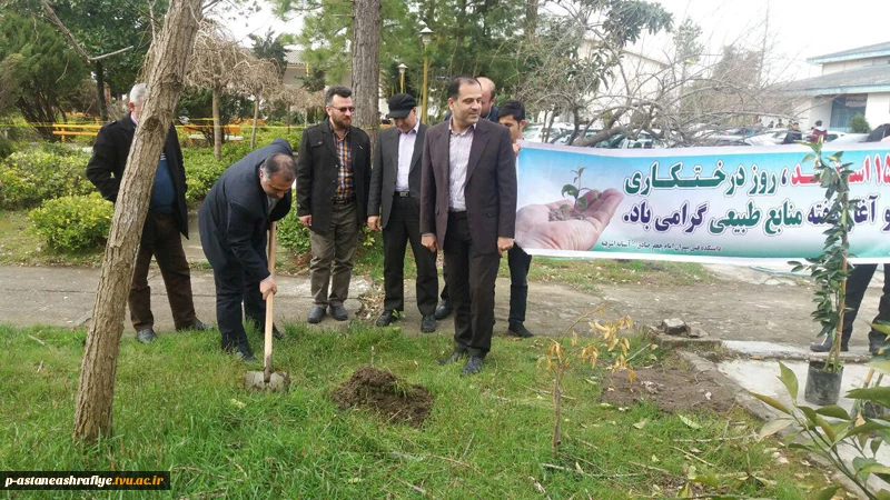 گرامیداشت روز درختکاری و هفته منابع طبیعی 4