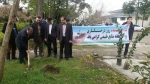 گرامیداشت روز درختکاری و هفته منابع طبیعی 5