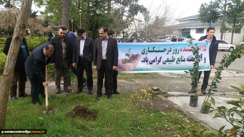 گرامیداشت روز درختکاری و هفته منابع طبیعی 5