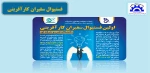 فستیوال سفیران کارآفرینی 2