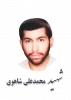 شهید محمدعلی شاهوی  2