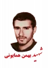 شهید بهمن همایونی کیسمی 2