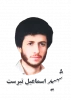 شهید اسمعیل تیرست 2