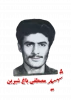شهید مصطفی باغ شیرین 2