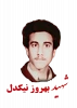 بهروز نیکدل  2