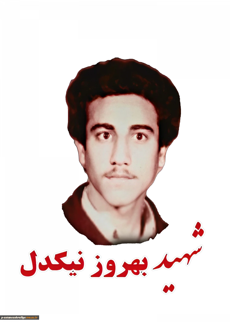 بهروز نیکدل  2
