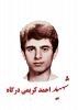 شهید احمد کریمی درگاه 2