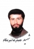 شهید حمیدرضا شیرین کام چوری 2