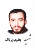 شهید یعقوب پرناک 2