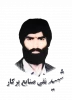 شهید نقی صنایع پرکار  2