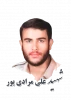 شهید علی مرادی پور داخل 2