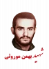 ید بهمن موروثی درگاه  2