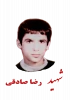 شهید رضا صادقی دستک 2