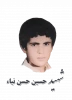 شهید حسین حسن نیای دستک 2