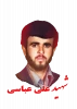 شهید علی عباسی کیسمی 2
