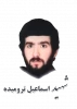 شهید اسمعیل ترومیده 2