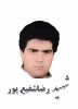 شهید سیدرضا شفیع پور 2