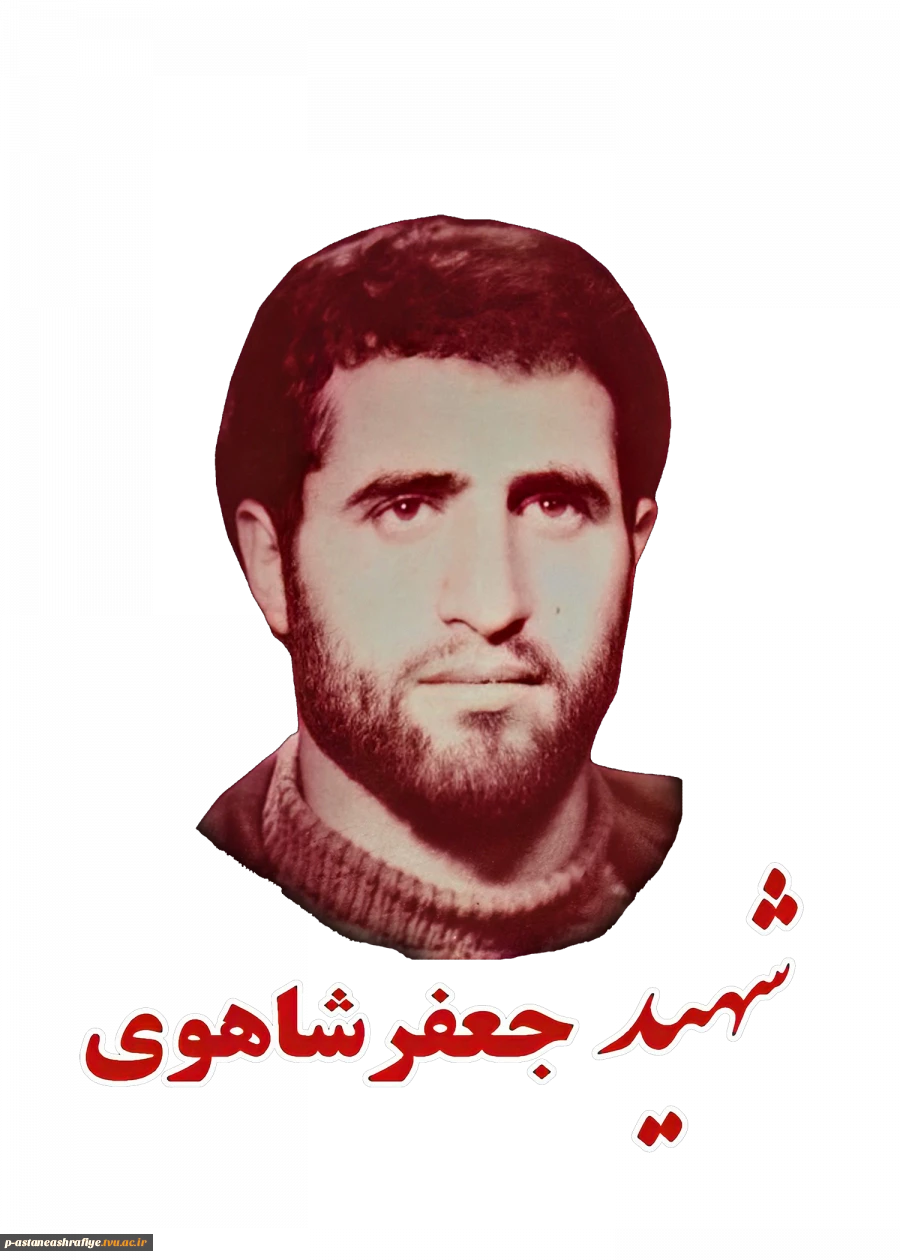 شهید جعفر شاهوی 2