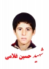 شهید حسین غلامی درگاه 2