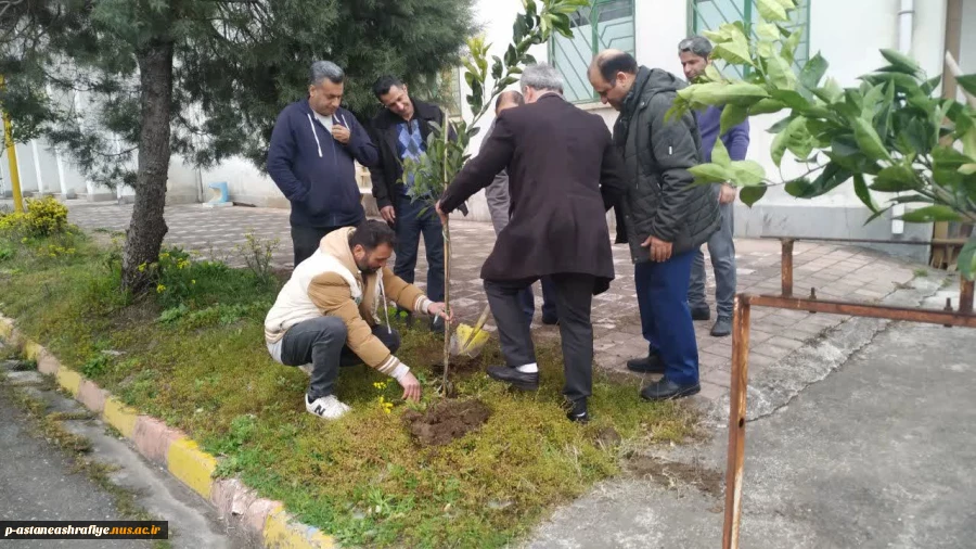 مراسم دختکاری اسفند ماه 1403 3